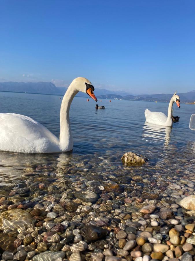 Garda Art&Lake Peschiera del Garda Kültér fotó
